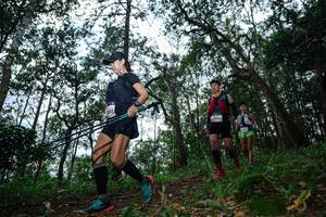 BIB: 2100
                            <button type="button" onclick="openModal(22569471)" class="btn btn-primary btn-sm float-right btn-popup" data-toggle="modal" data-target=".modal-high-quality">
                        <i class="fas fa-shopping-cart"></i> Add to Cart
                    </button>
                                            <button type="button" onclick="isThisMe(22569471, true)" class="btn btn-success btn-sm float-right btn-popup btn-isme hidden" data-toggle="tooltip" data-placement="bottom" title="นี่คือรูปของคุณใช่ไหม คลิกที่นี่เพื่อเอาเข้าอัลบั้ม">
                        <i class="fas fa-plus"></i> Add to album
                    </button>
                    <button type="button" onclick="isThisMe(22569471, false)" class="btn btn-warning btn-sm float-right btn-popup btn-isnotme hidden">
                        <i class="fas fa-ban"></i> Remove from album
                    </button>